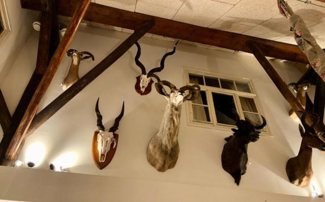 The Black Horse B&B & More Drachten Kültér fotó